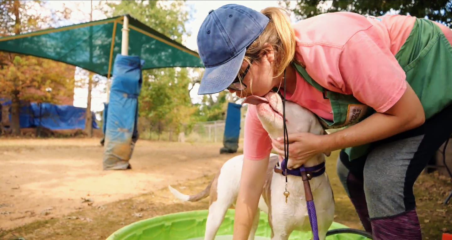 Volunteers keep our pets clean